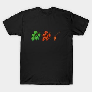 Fall T-Shirt